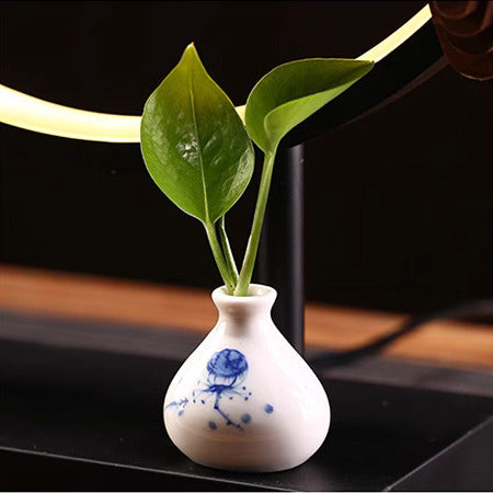 Meditative Monkey King Incense Holder